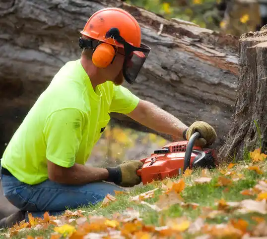 tree services Barbourville